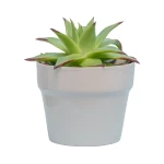 Chậu Đựng Cây Mini
