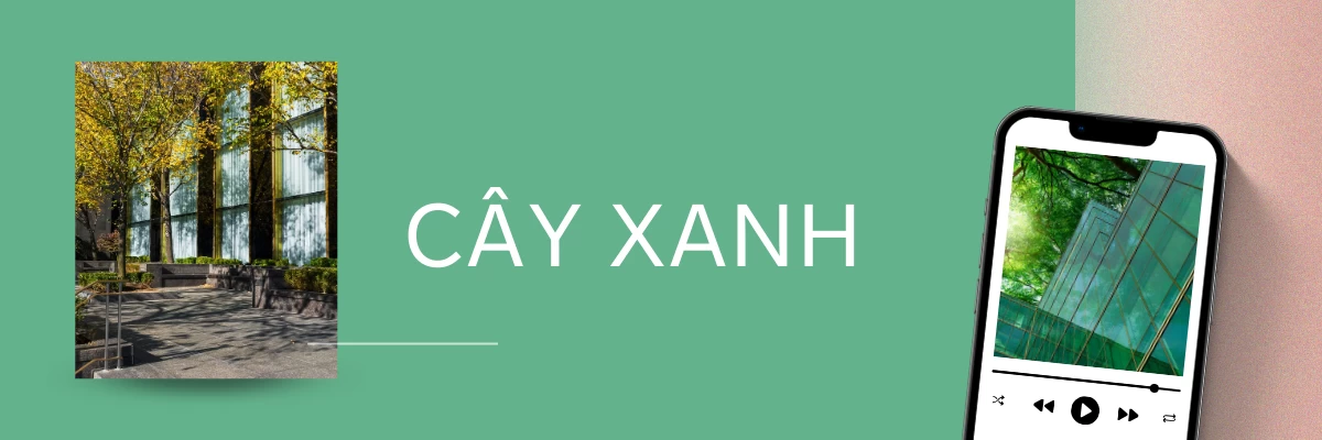 Cây Xanh Và Hoa Lá | Hth Garden