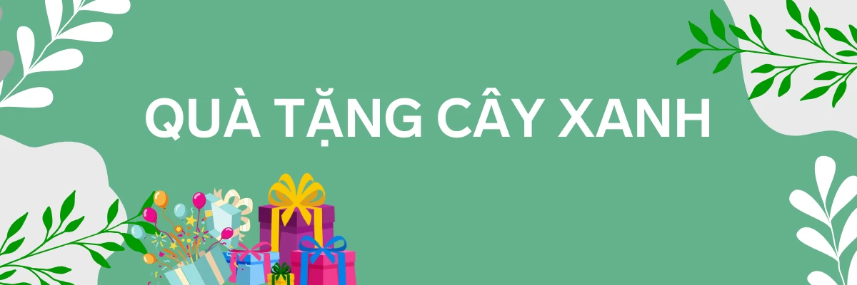 Quà Tặng Cây Xanh | Hth Garden